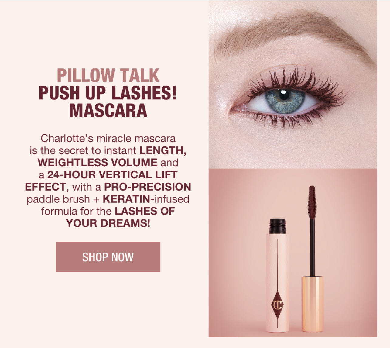 Screenshot 2026-03-26 at 13.15.33.png