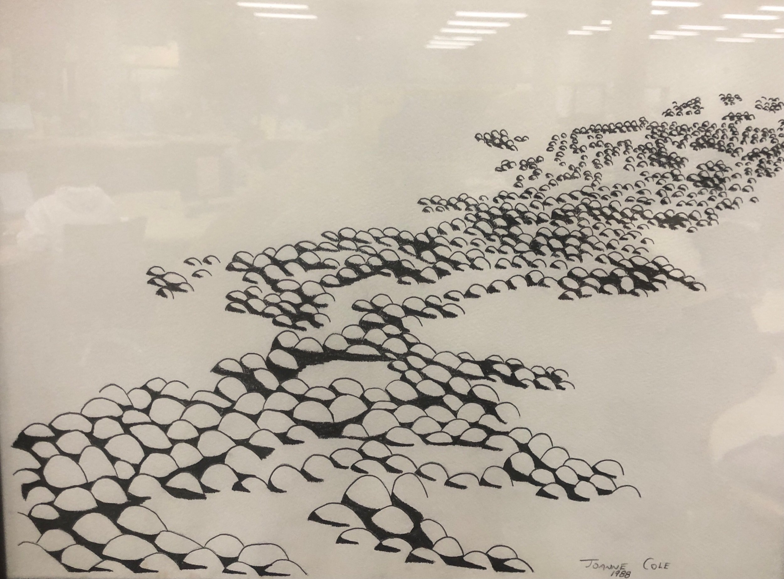 Beachrocks, 12 x 14 inches, graphite on paper, 1989 - NFS