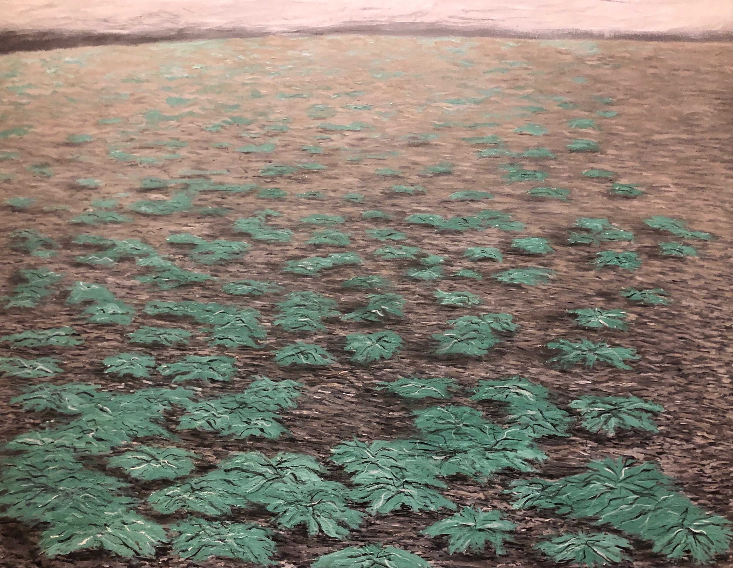Beach Plants, Point La Haye, acrylic on canvas, 24 x 32 inches, 1990, $500