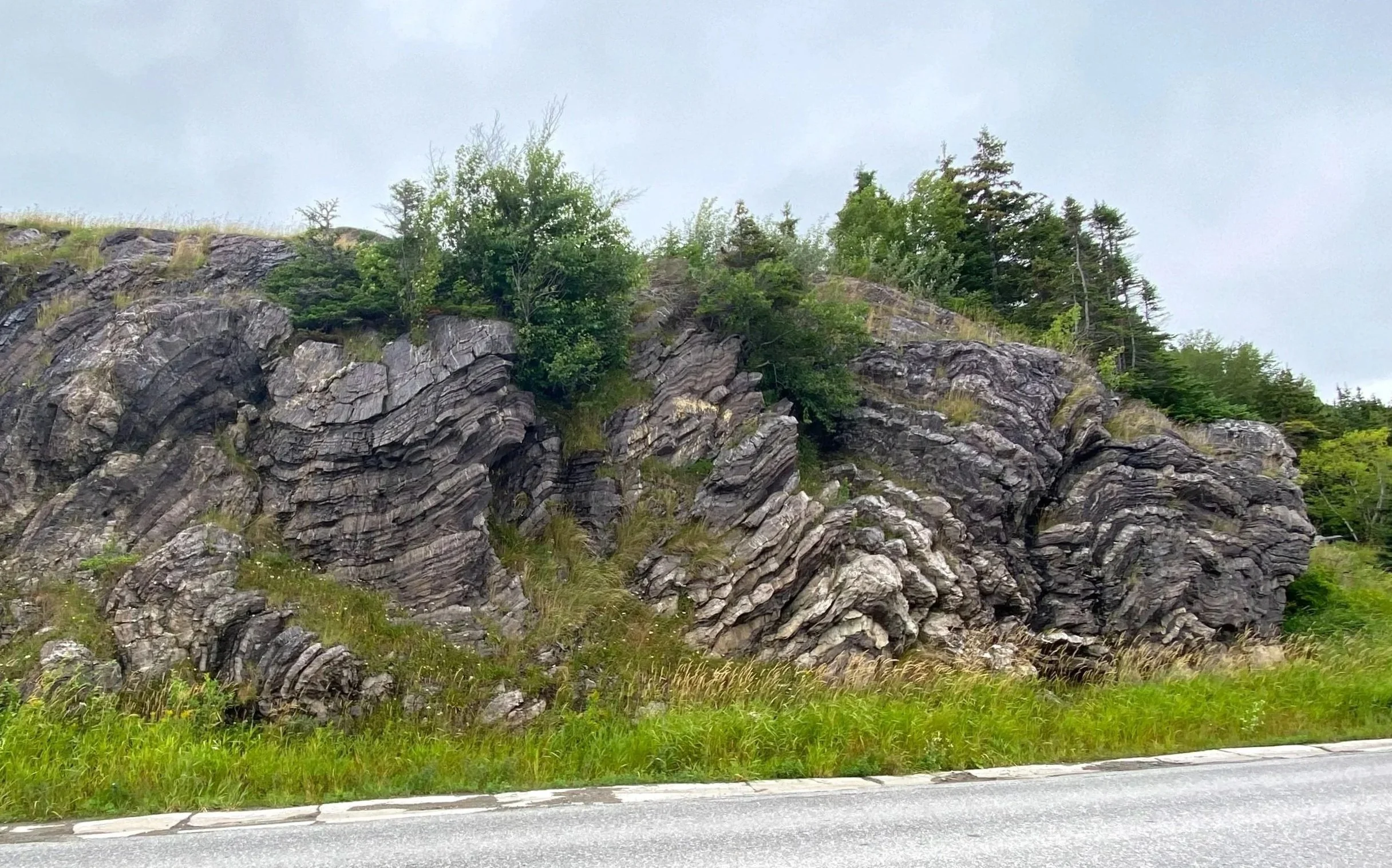 Fractured layers, roadside outcrop, Summerside, Bay of Islands