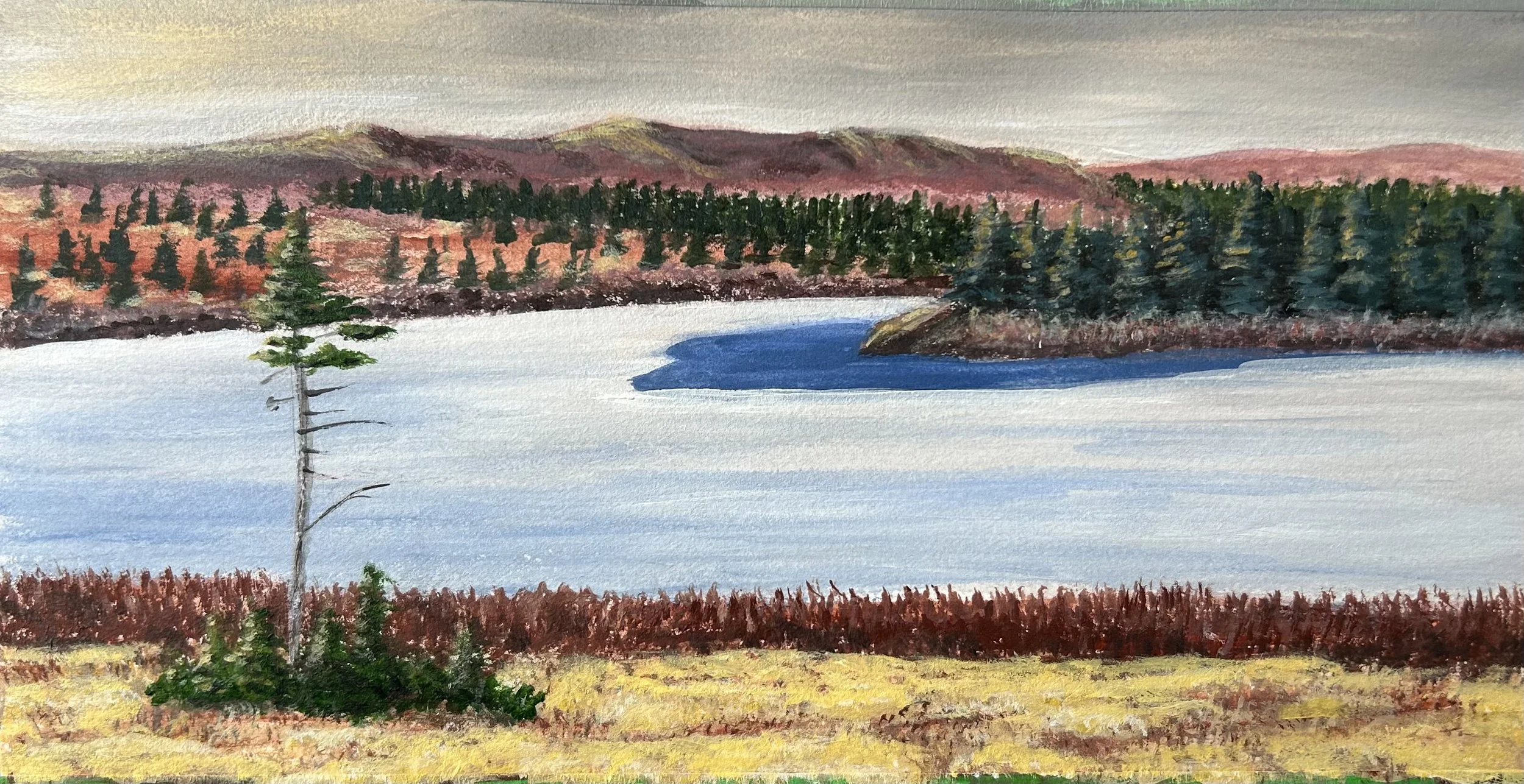 Spring Ice on Island Pond, acrylic on paper, 5 x 10 inches, $200