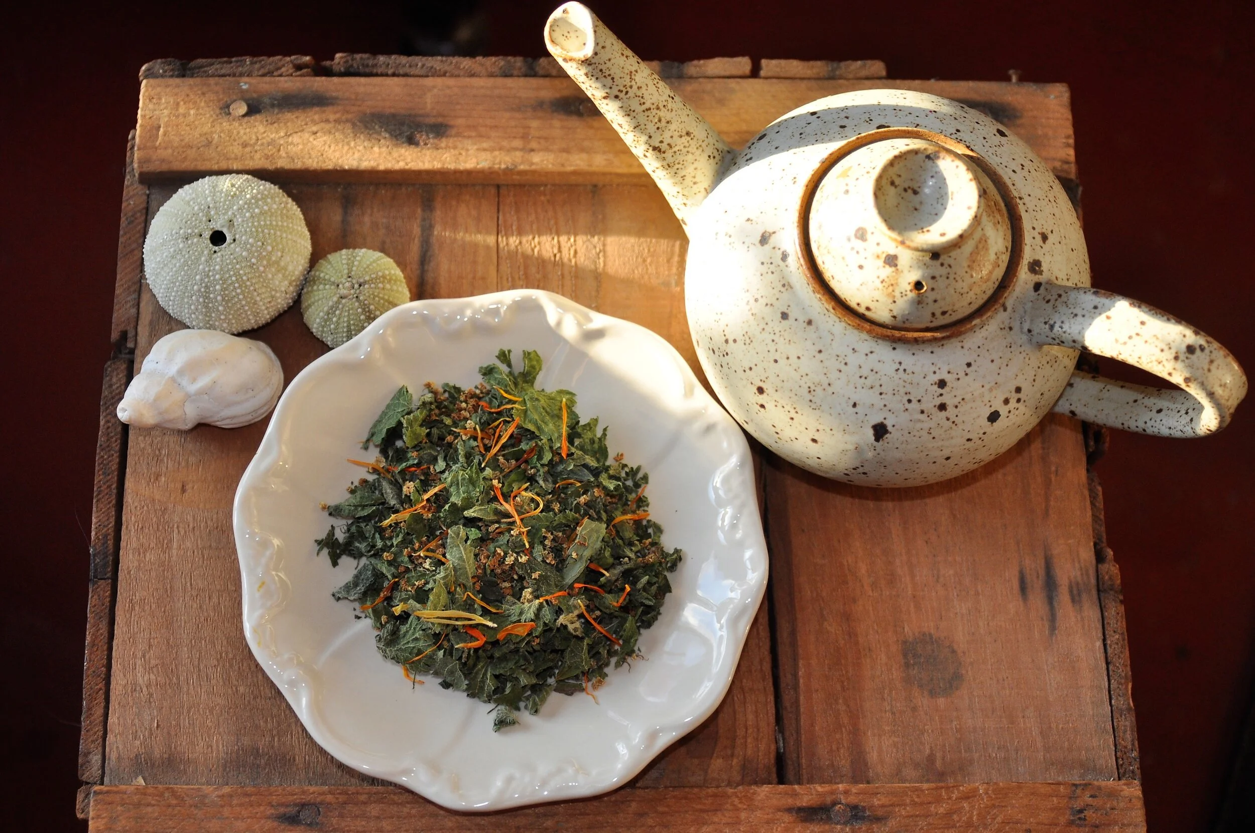 Nourishing Nettle