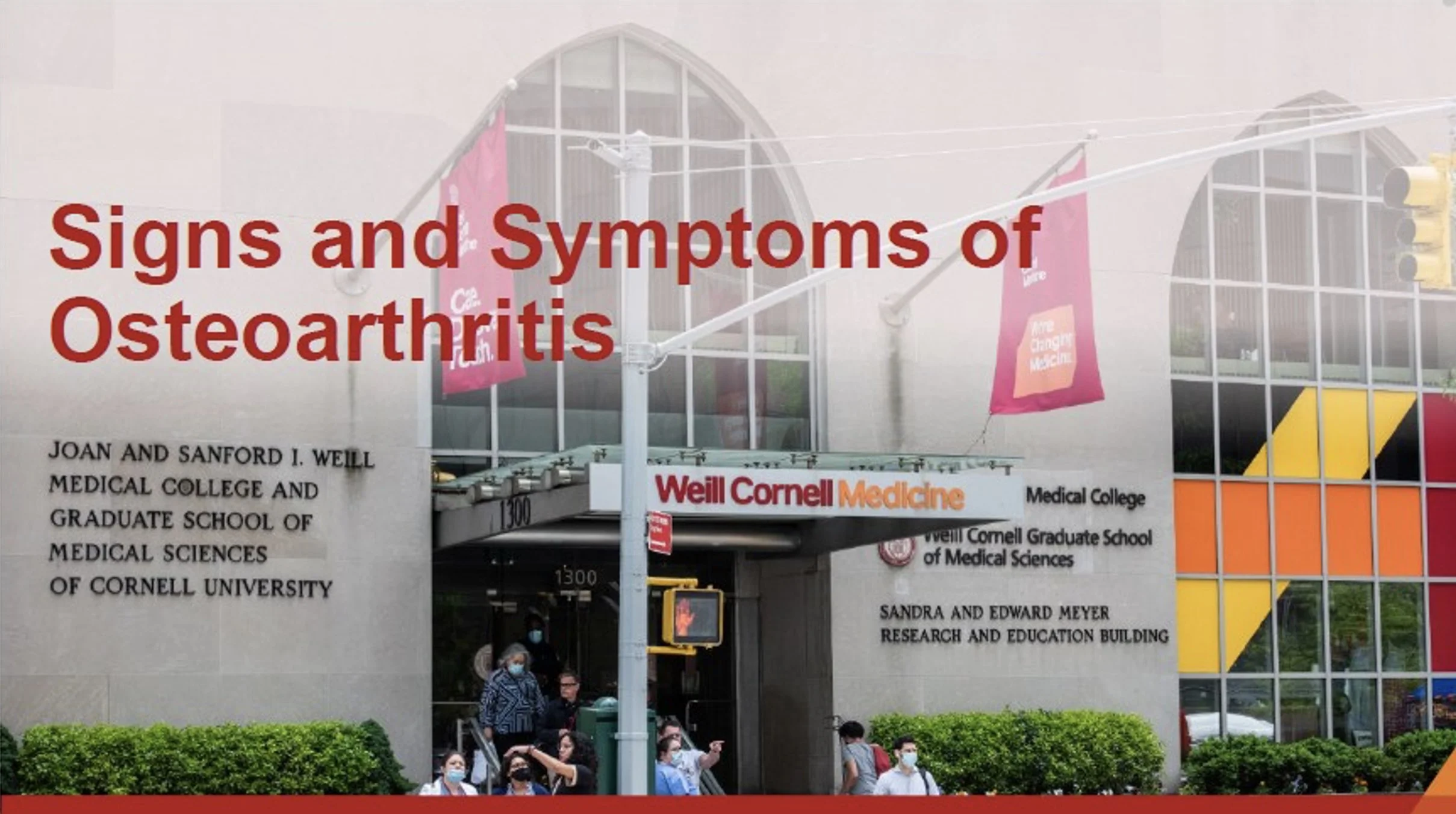 Understanding Osteoarthritis and How to Treat It