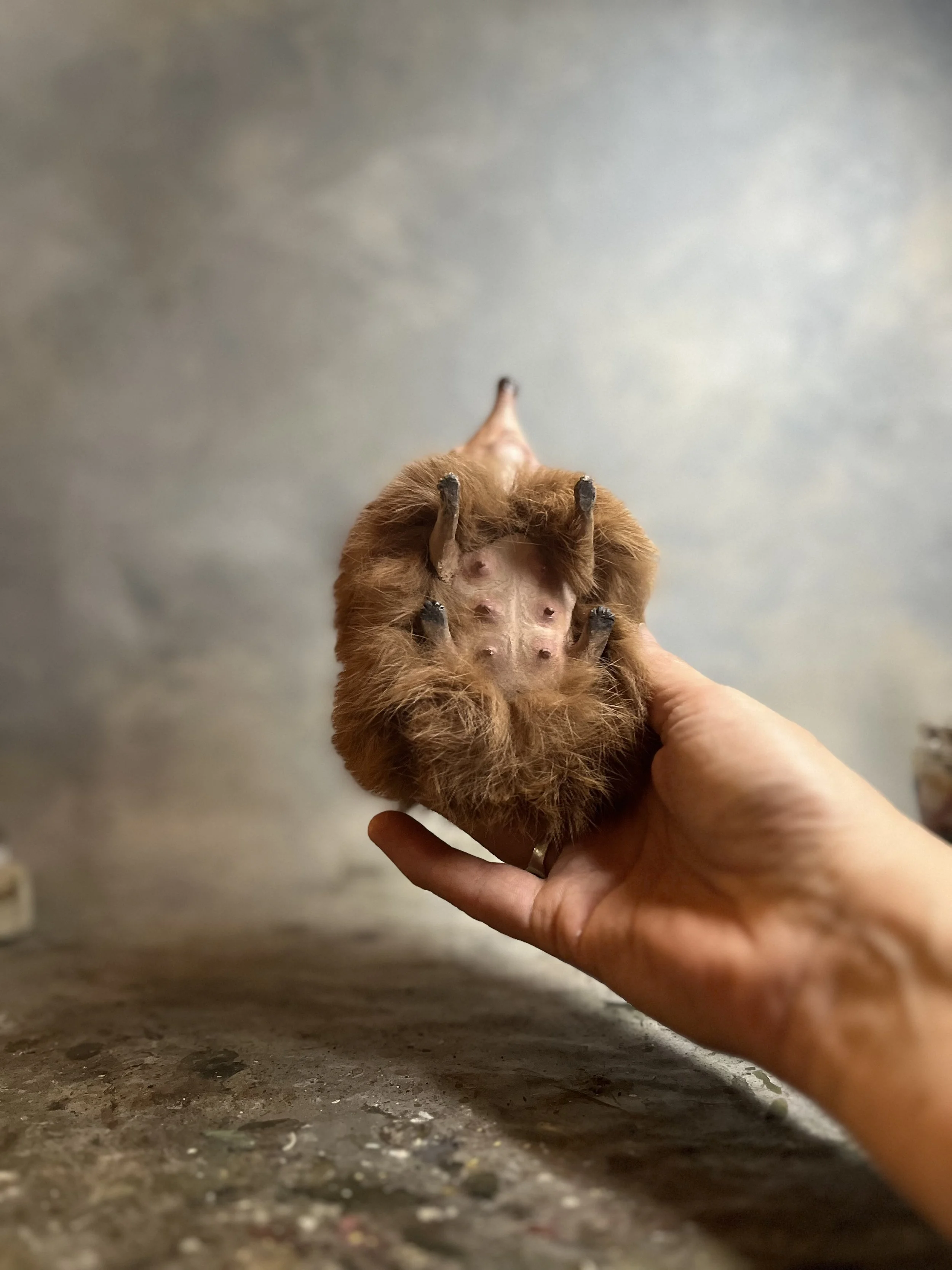 Underneath the Woggle 2024