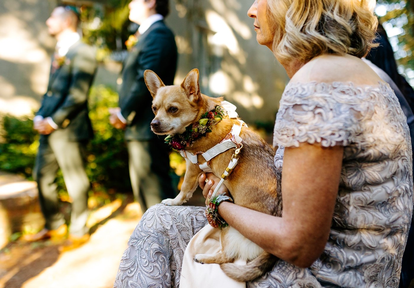 dog in flower collar for wedding