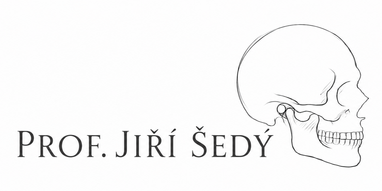 Prof. Jiří Šedý