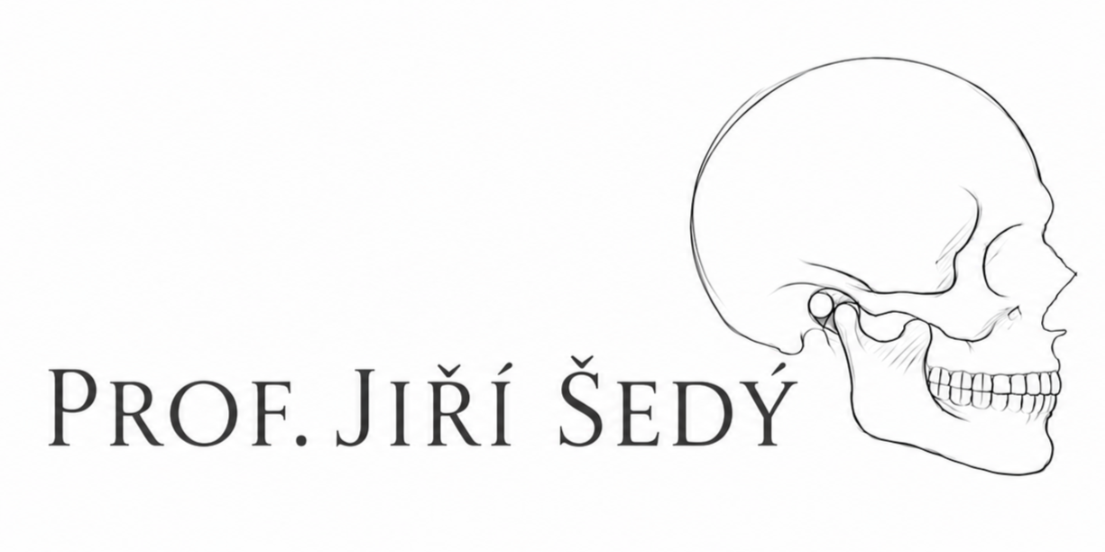 Prof. Jiří Šedý