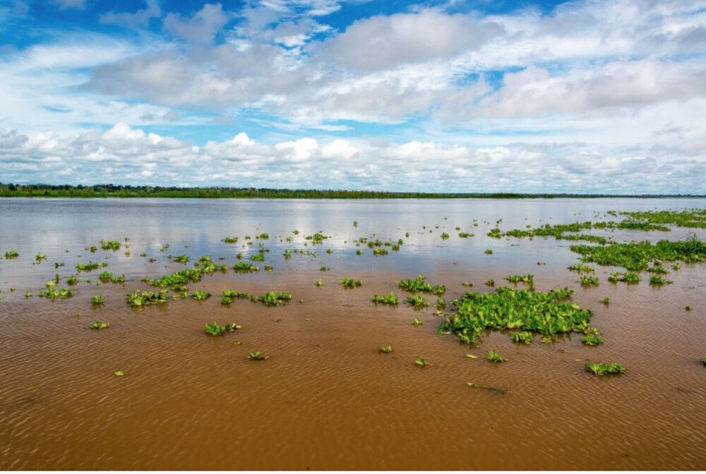 Cuándo se formó el río Amazonas? — La Alianza