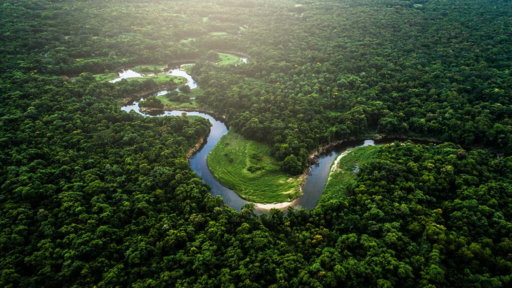 Una vida protegiendo a las criaturas acuáticas del Amazonas