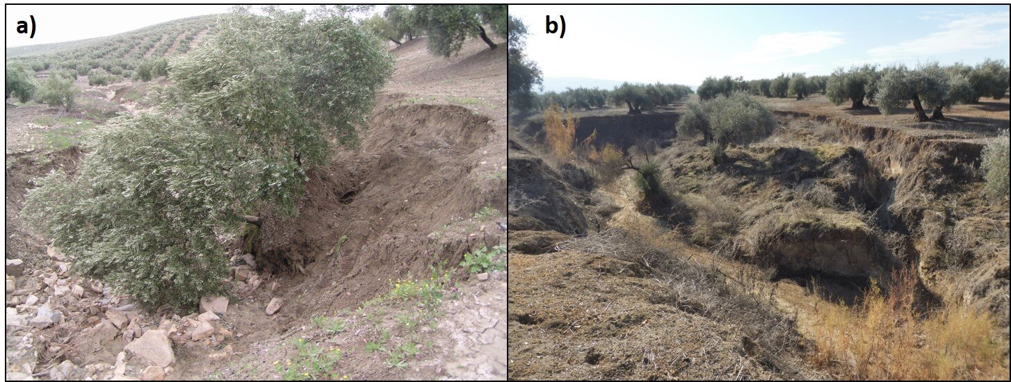Preocupante aceleración en la erosión del suelo por acción del agua