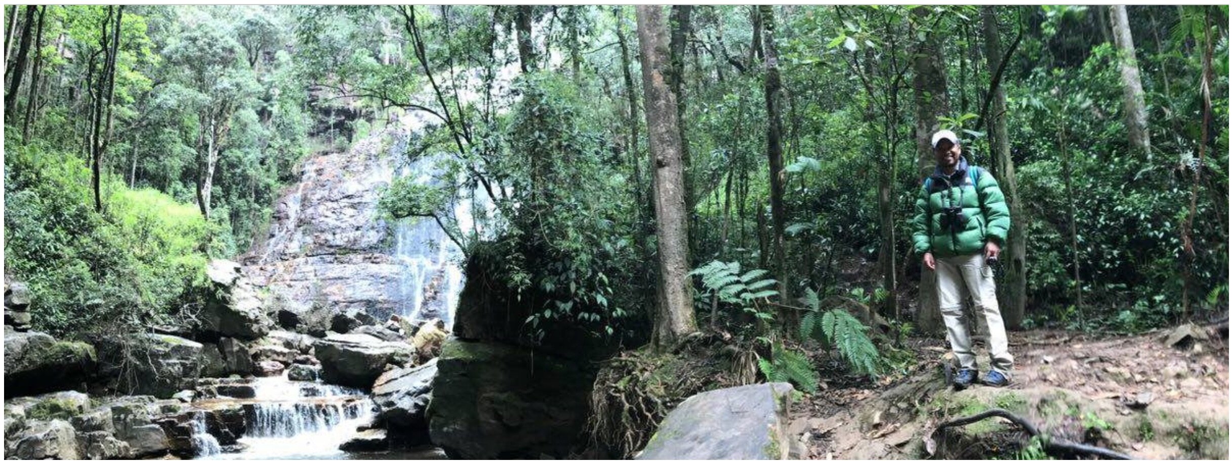 Los sonidos de la reserva Yátaros: un tesoro para la investigación biológica en Colombia