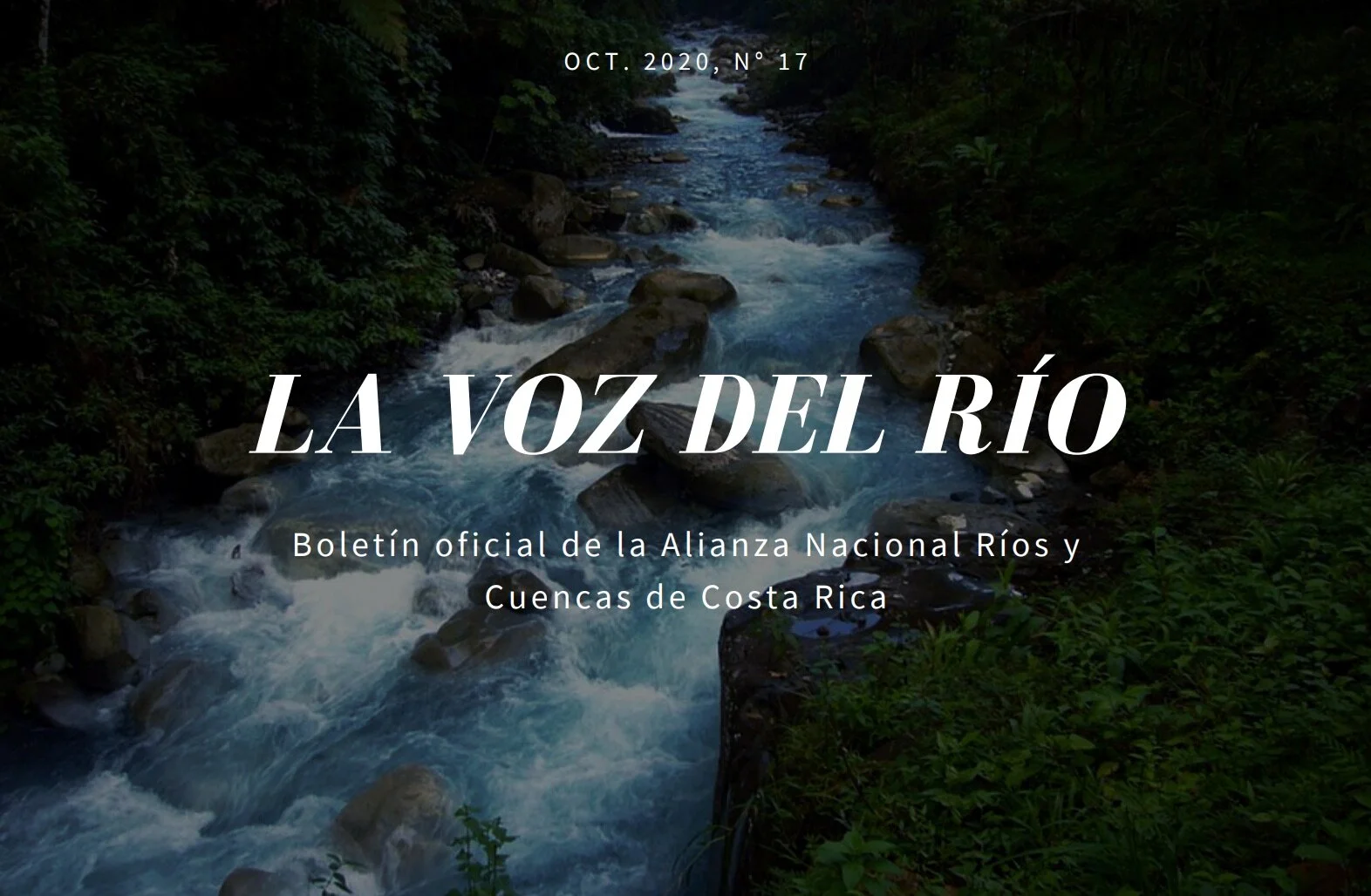 Edición Octubre. 2020, N° 17