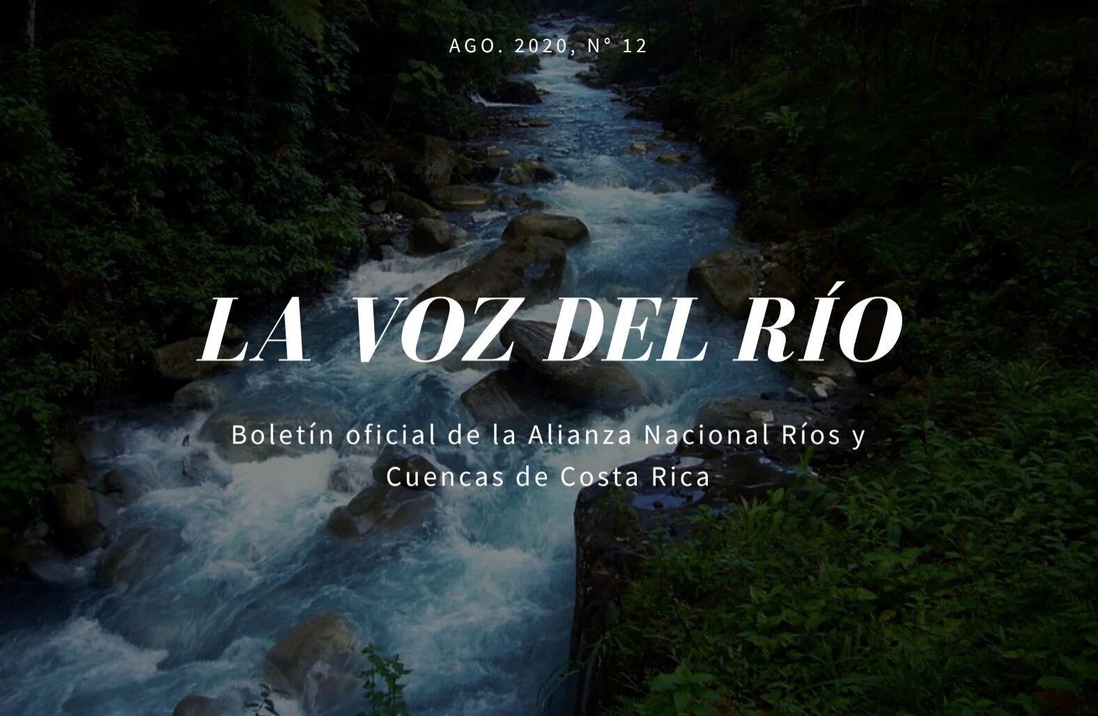 Edición Agosto. 2020, N° 12