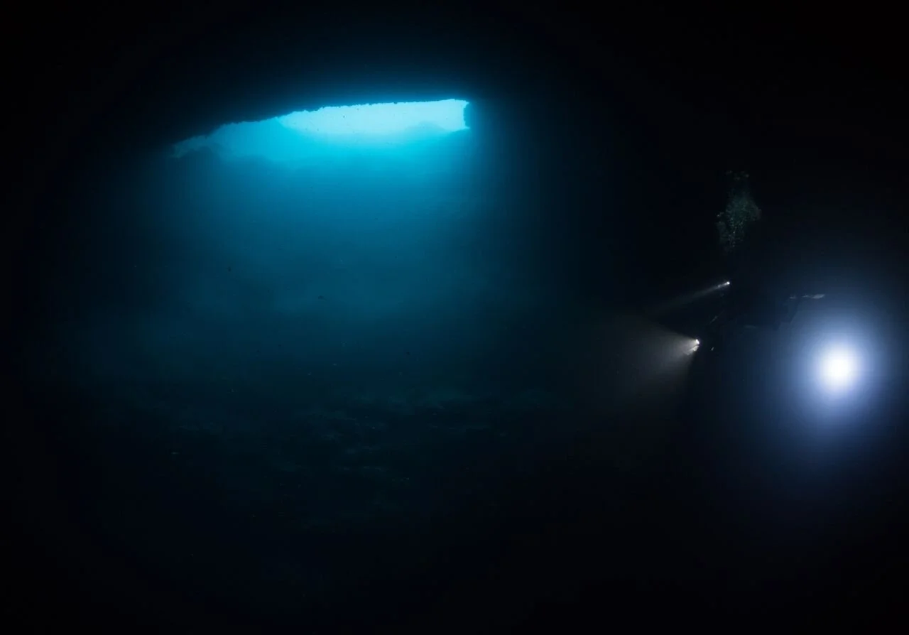Encuentran cinco raros cenotes de agua dulce en el fondo del Caribe mexicano