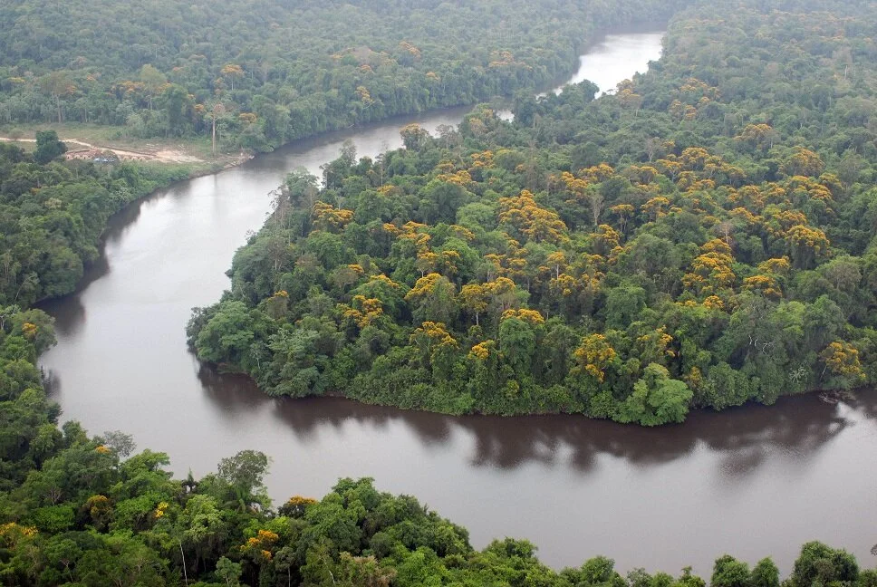 NUESTRA AMAZONIA
