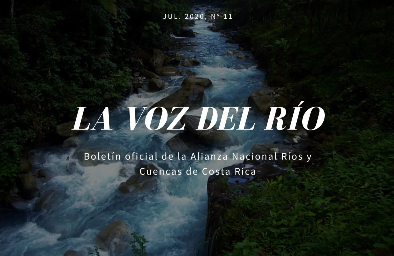 Edición Julio. 2020, N° 11