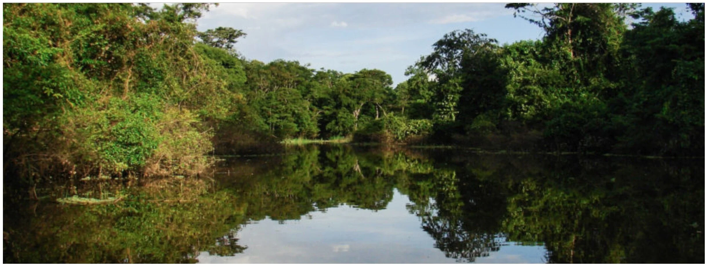¿Qué le espera a Latinoamérica tras la postergación de los principales eventos ambientales globales?