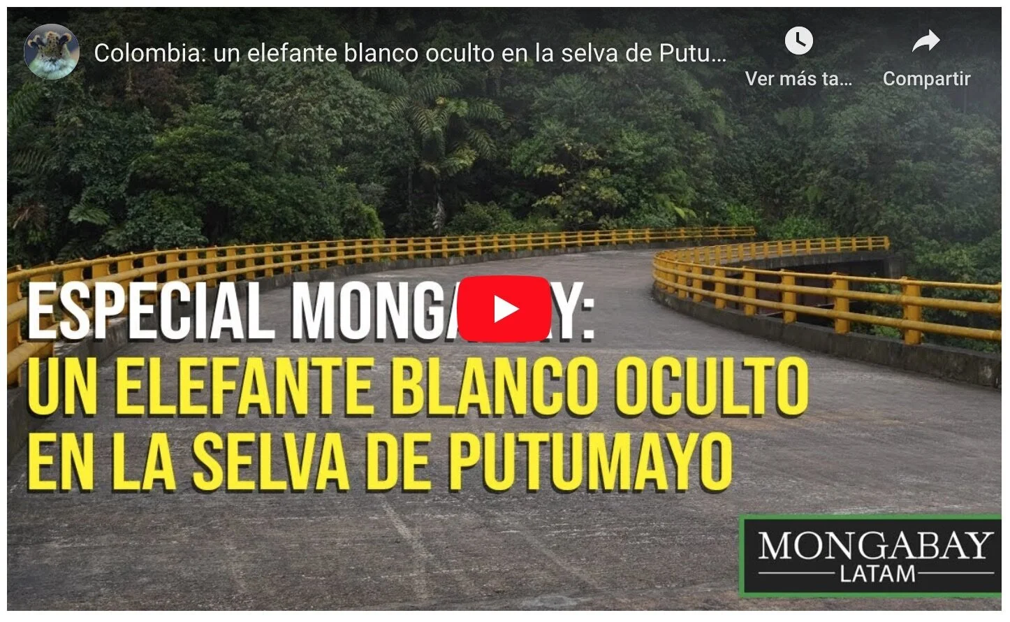 Deforestación y minería podrían llegar con una vía en el piedemonte amazónico