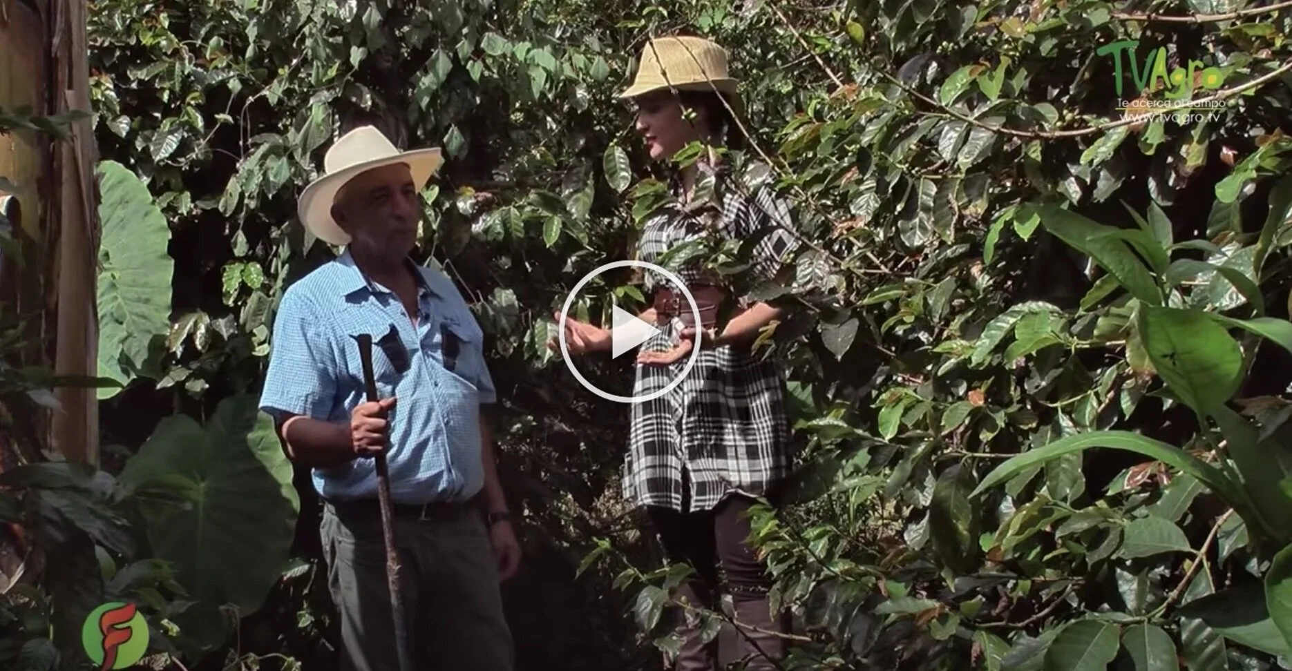 ¿Es posible Sembrar Agua? - TvAgro por Juan Gonzalo Angel