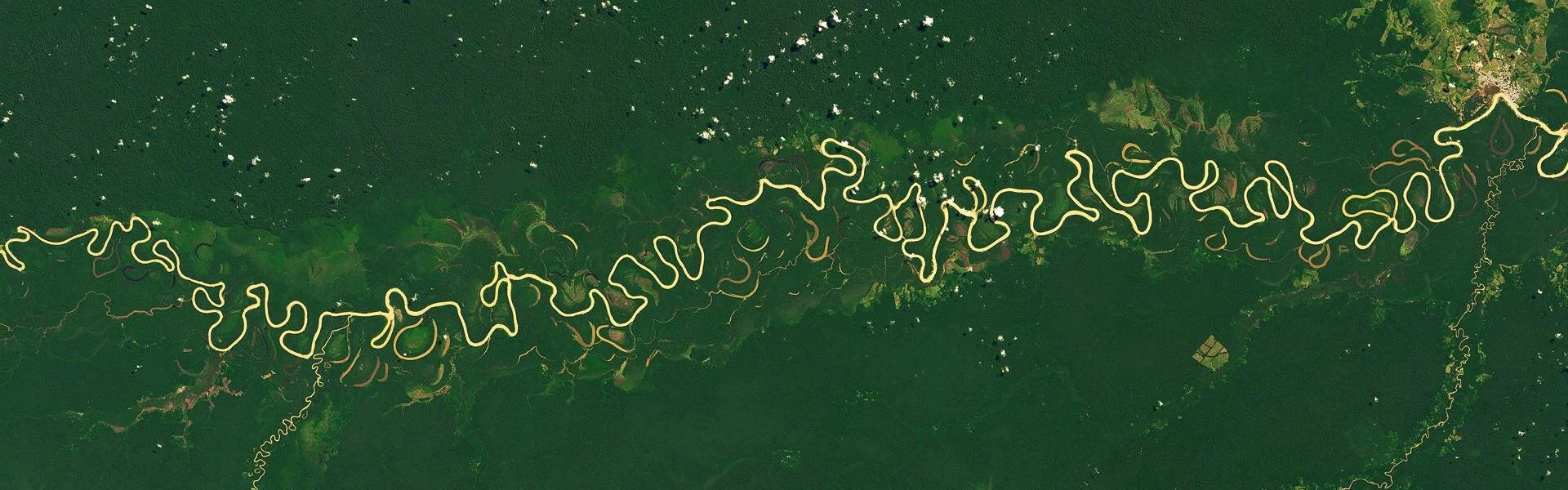 Los sinuosos afluentes del Amazonas