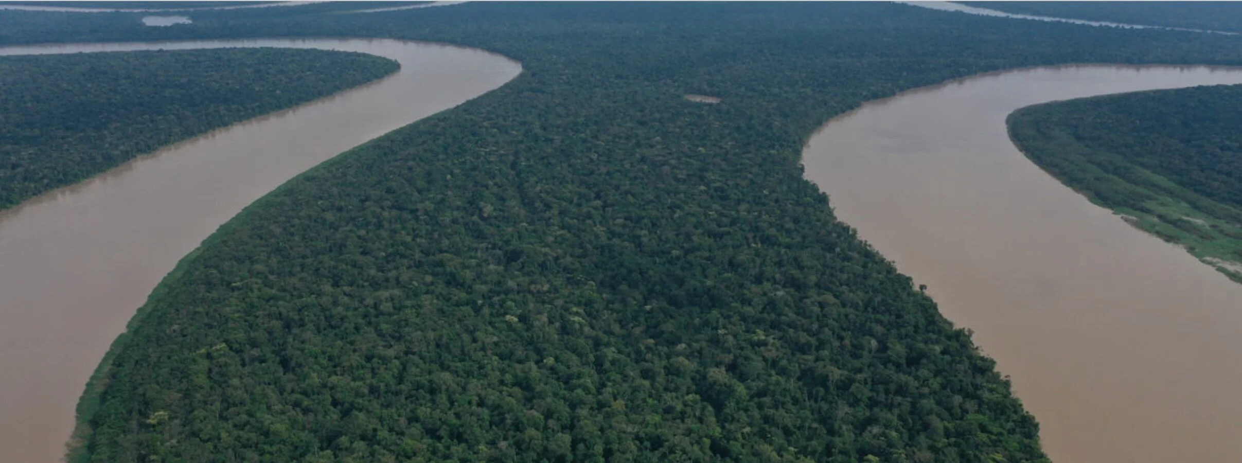 Día Internacional de los Bosques: comunidades, aliadas en su conservación