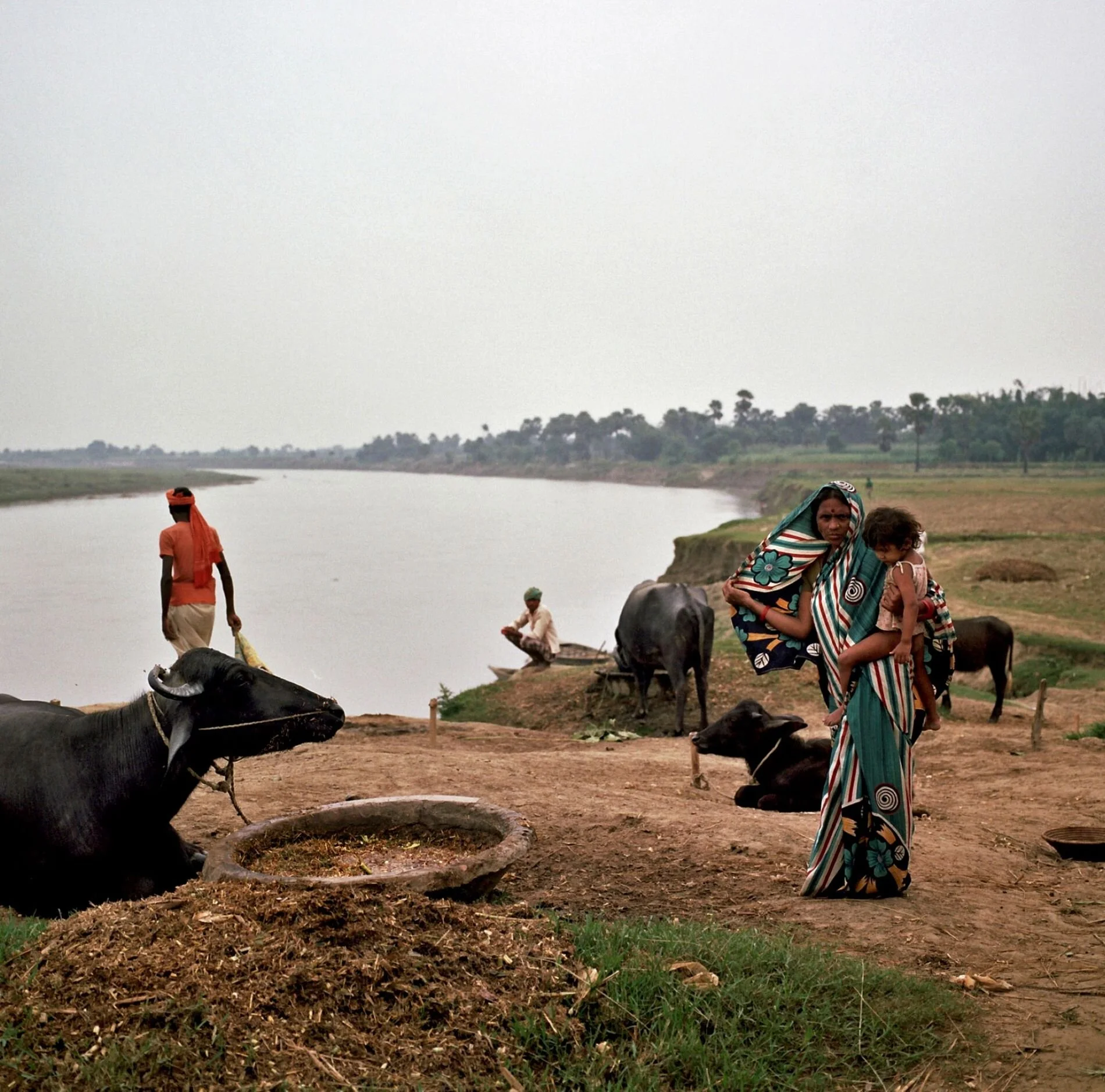El río más sagrado de India se está agotando