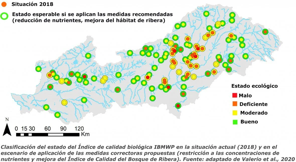 Machine learning para predecir la respuesta de los ecosistemas acuáticos a medidas de mitigación