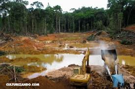 Los humanos ponemos en peligro un tercio de las reservas naturales de la Tierra