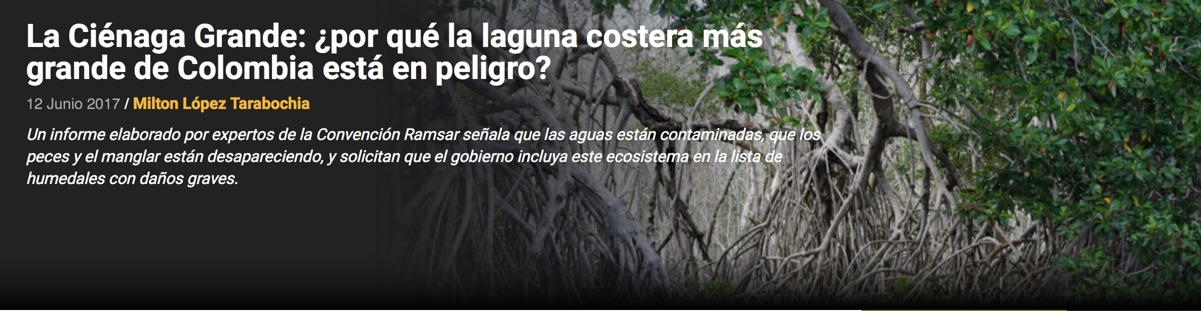La Ciénaga Grande: ¿por qué la laguna costera más grande de Colombia está en peligro?