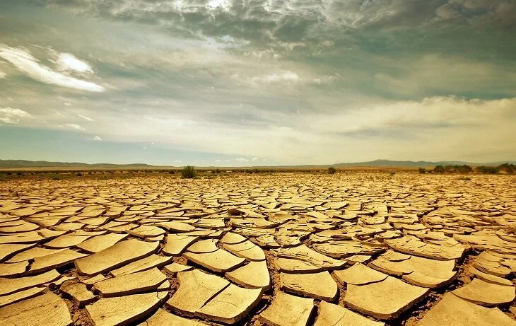 Nadie hace lo suficiente para revertir el cambio climático