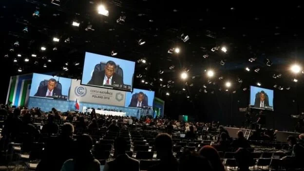 Cambio climático: ¿por qué el mundo está en una etapa crucial para su futuro?