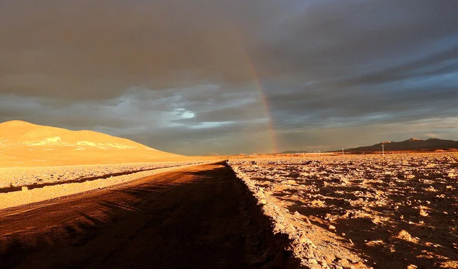 Lluvias sin precedentes arrasan la vida microbiana en el desierto de Atacama