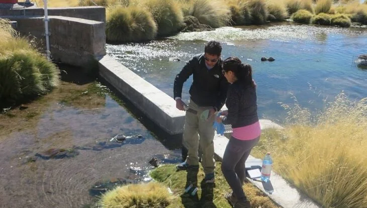¿Bacterias para limpiar el agua contaminada de arsénico? Científicos chilenos las usaron y resultó