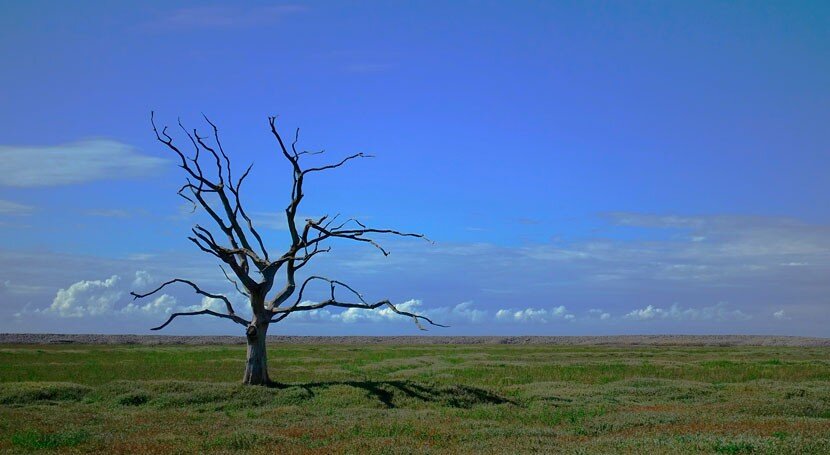 El planeta podría alcanzar un "punto de no retorno" para 2035 si no se frena el cambio climático