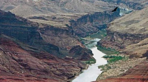 Demanda de agua crecerá en 80% hasta el 2050