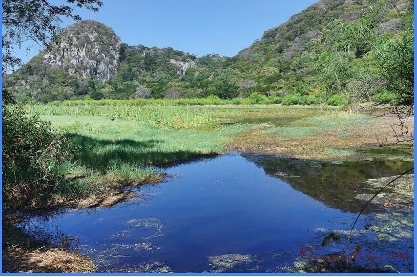 Costa Rica posee 12 humedales de importancia mundial