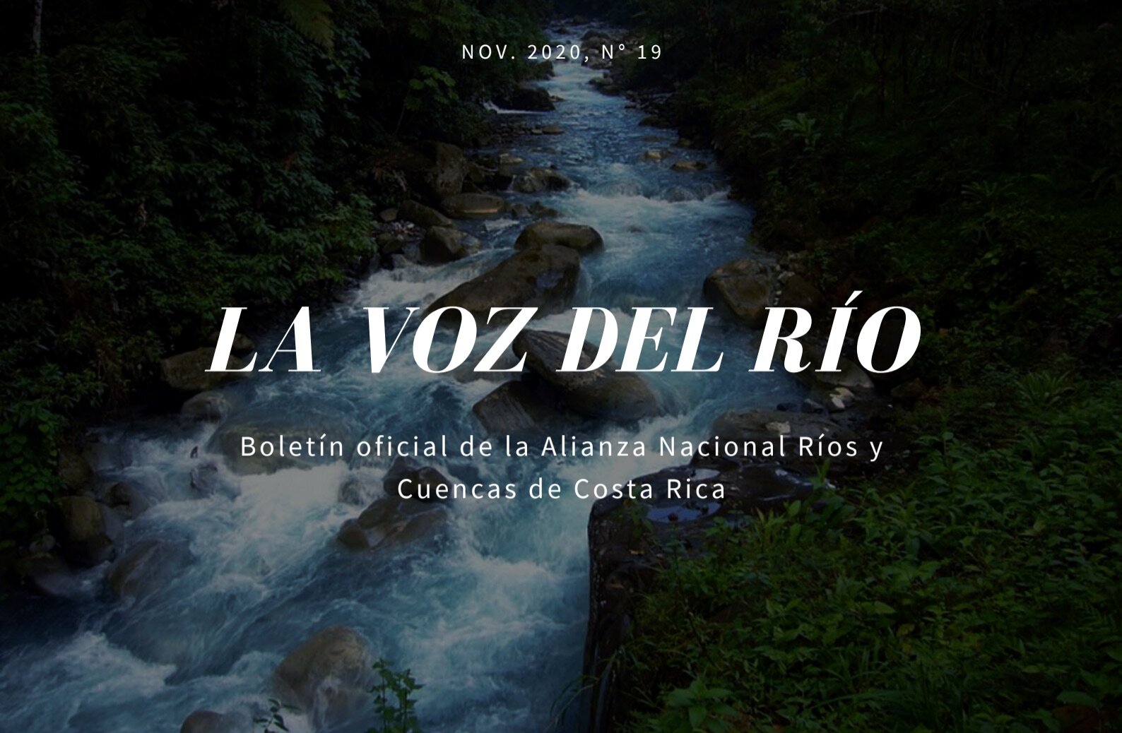 Edición Noviembre. 2020, N° 19