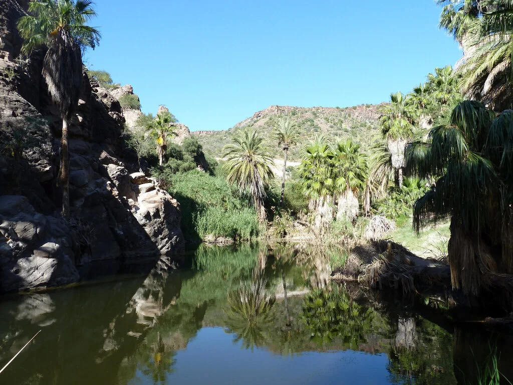 Oasis sudcalifornianos, sistemas socioambientales únicos