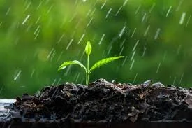 El agua lluvia...Infórmese