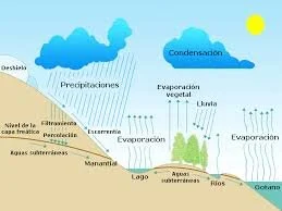 La humedad...el agua