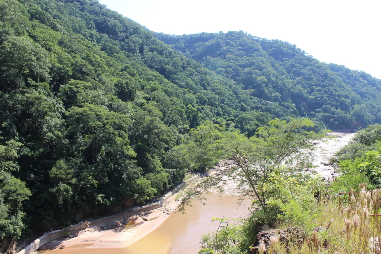 La nueva área protegida Serranías de Igüembe ha sido creada para proteger principalmente sus fuentes de agua. Foto: Fundación Natura.