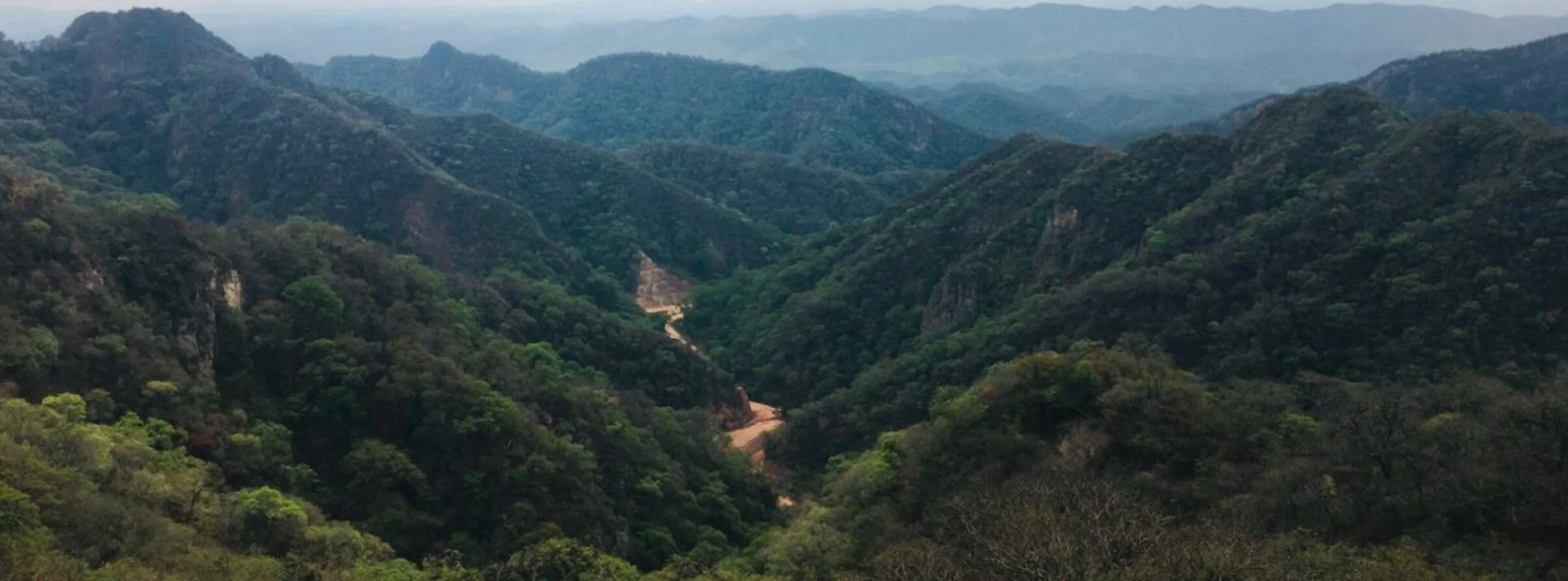 Imagen principal:&nbsp;Bosques del Chaco boliviano en Igüembe. Foto: Fundación Natura.