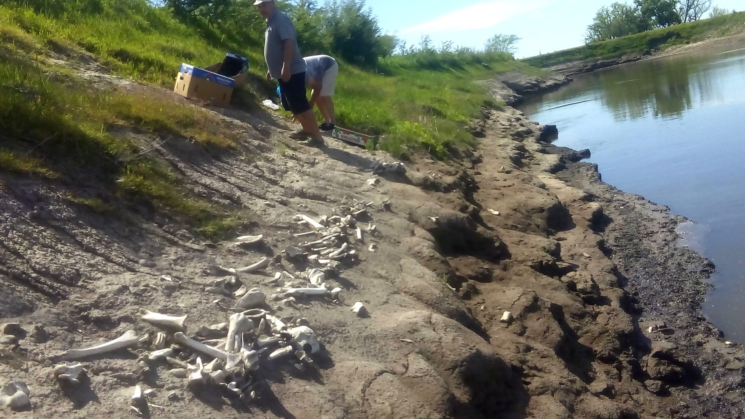 Un impactante hallazgo confirma el evento climático catastrófico descrito por Darwin en su viaje al Río de la Plata