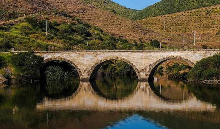 Día Internacional de los Ríos 2021