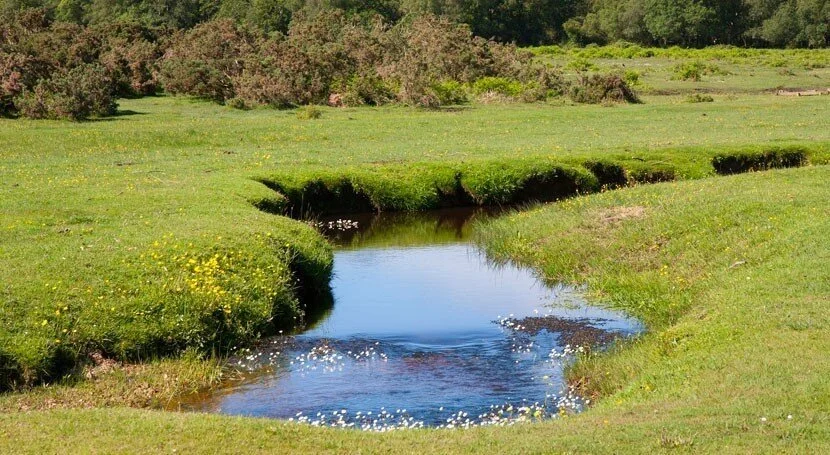 Según un estudio, el cambio climático ha alterado los caudales de los ríos a escala global