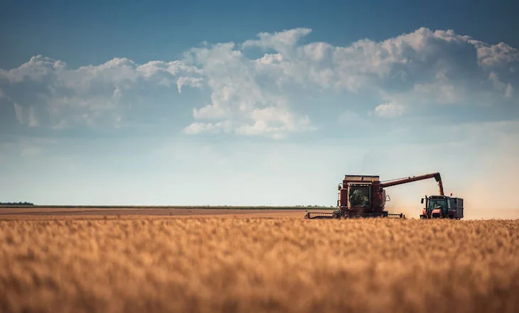 La agricultura ecológica se pone en primera posición de la carrera hacia el futuro  