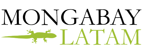 MongabayLatam.png