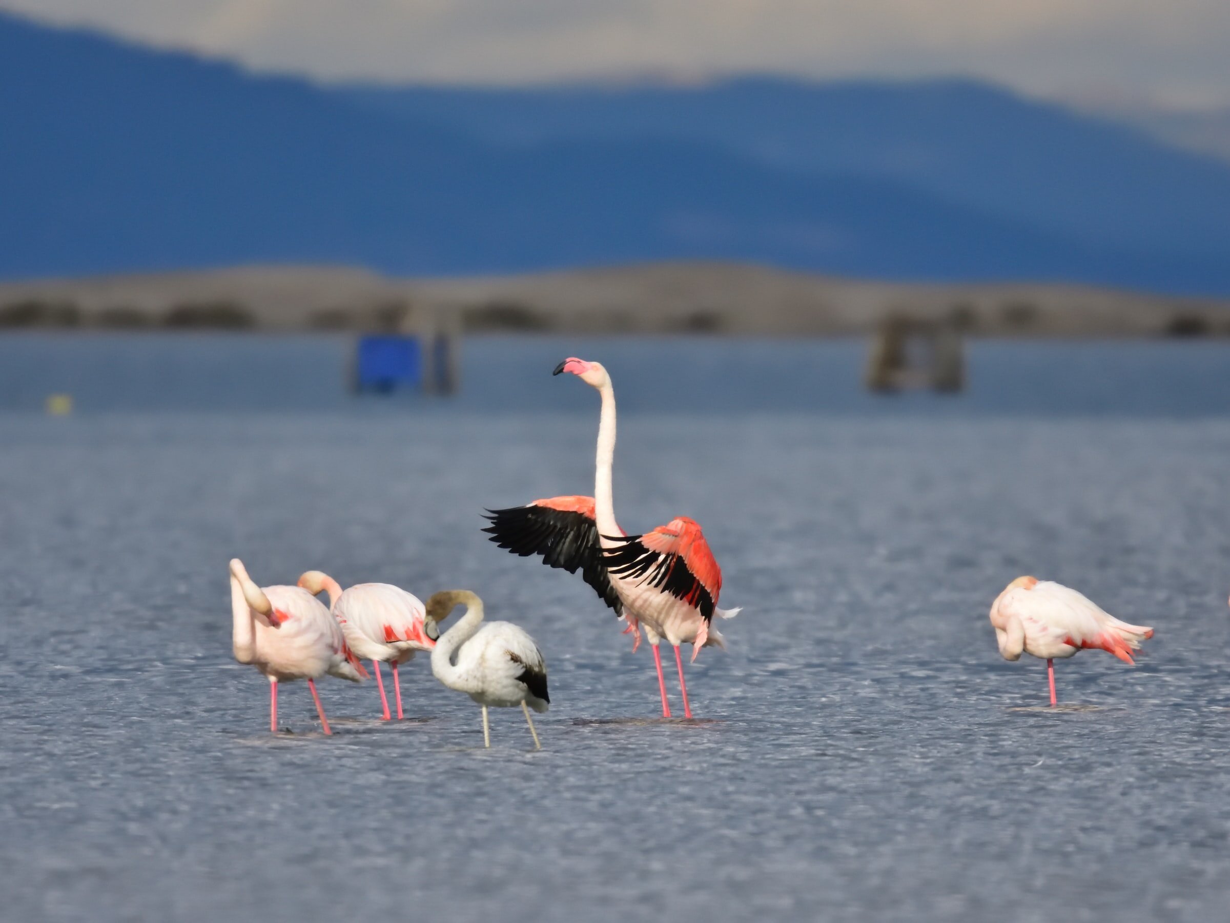 El equilibrio medioambiental del planeta no puede permitirse perder los deltas. ©&nbsp;Santiago Lacarta-unsplash