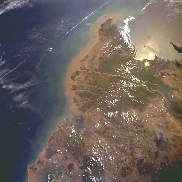Salvar el delta del Mekong es ahora un objetivo prioritario para Vietnam.© Darwinek | NASA on Wikimedia Commons