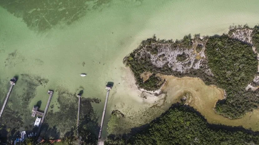 La ruina de una joya ecológica: los colores de la Laguna Bacalar se desvanecen sin protección ambiental